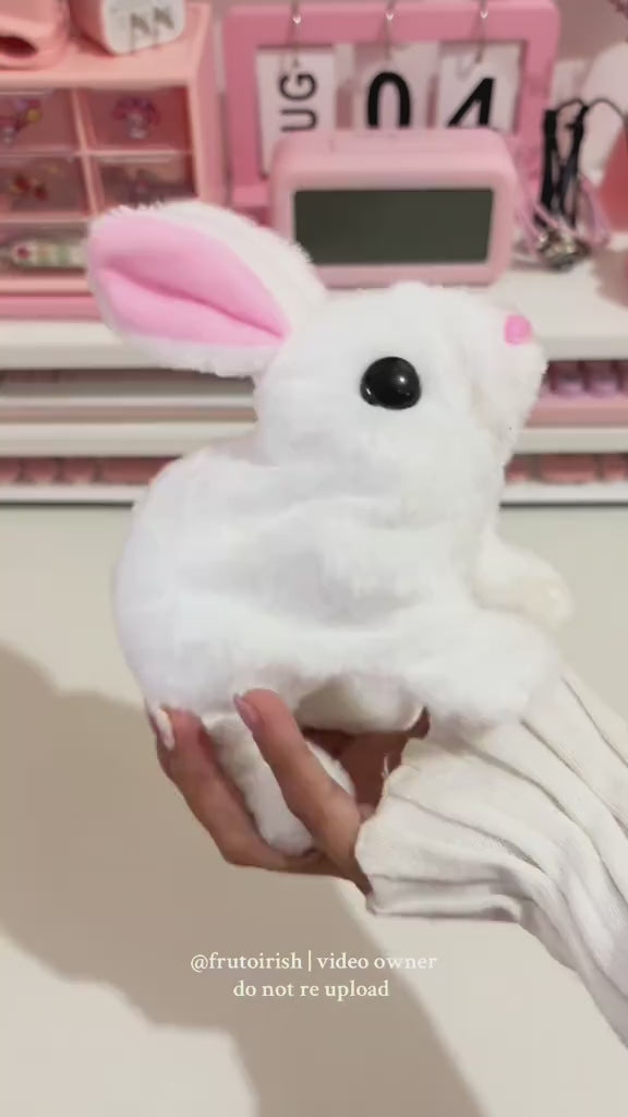 Rabbit